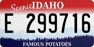 ID license plate E299716