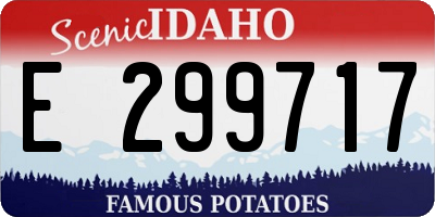 ID license plate E299717