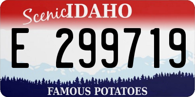 ID license plate E299719