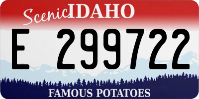 ID license plate E299722