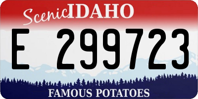 ID license plate E299723