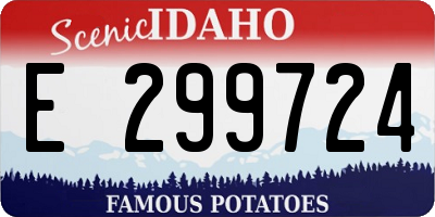 ID license plate E299724