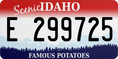 ID license plate E299725