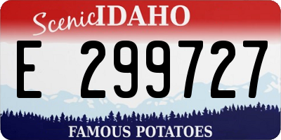 ID license plate E299727