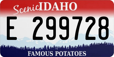 ID license plate E299728