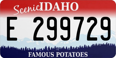 ID license plate E299729