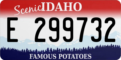 ID license plate E299732