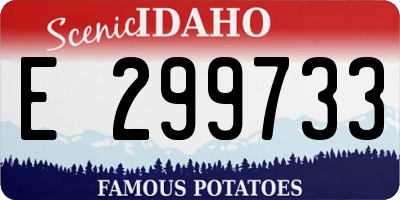 ID license plate E299733