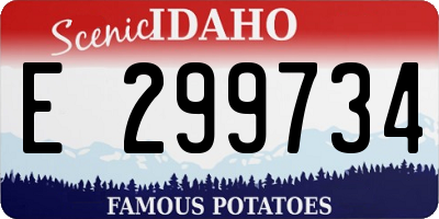 ID license plate E299734