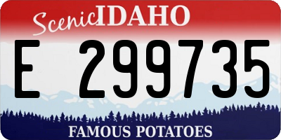 ID license plate E299735