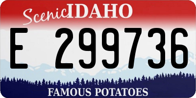 ID license plate E299736