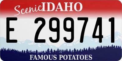 ID license plate E299741