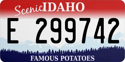 ID license plate E299742
