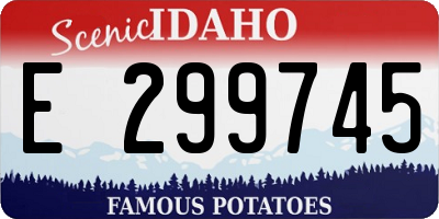 ID license plate E299745