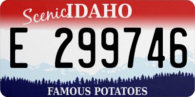 ID license plate E299746