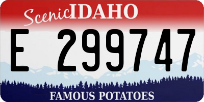 ID license plate E299747