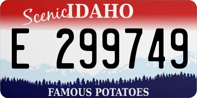 ID license plate E299749