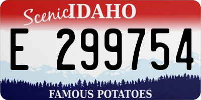 ID license plate E299754