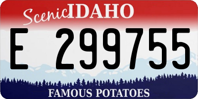 ID license plate E299755