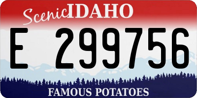 ID license plate E299756