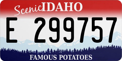 ID license plate E299757