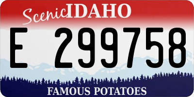 ID license plate E299758