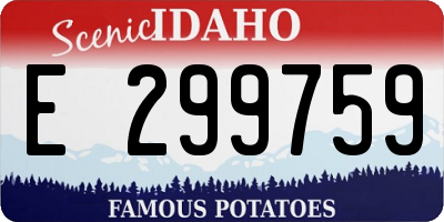 ID license plate E299759
