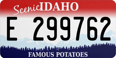 ID license plate E299762