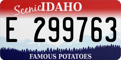 ID license plate E299763