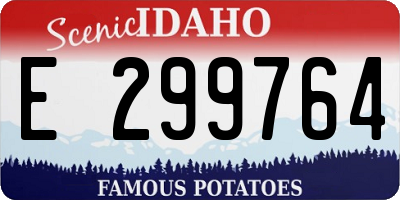 ID license plate E299764