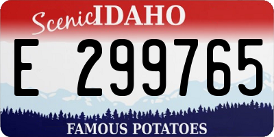 ID license plate E299765