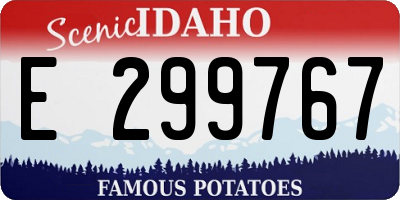 ID license plate E299767