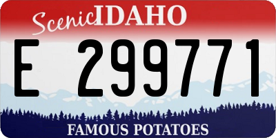 ID license plate E299771