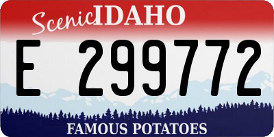 ID license plate E299772