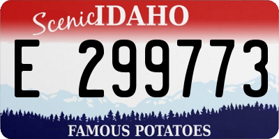 ID license plate E299773