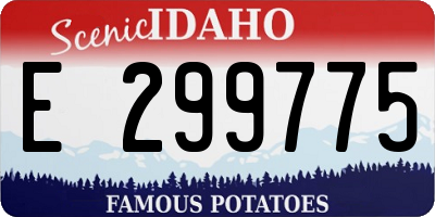 ID license plate E299775