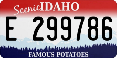 ID license plate E299786