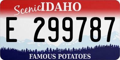 ID license plate E299787