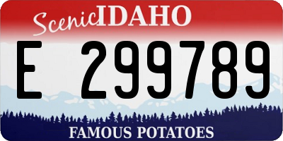 ID license plate E299789