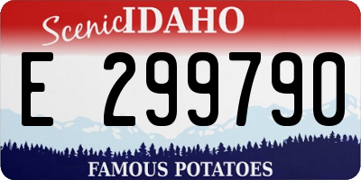 ID license plate E299790