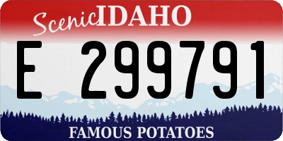 ID license plate E299791