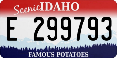 ID license plate E299793