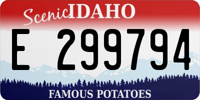 ID license plate E299794