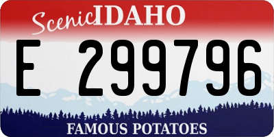 ID license plate E299796