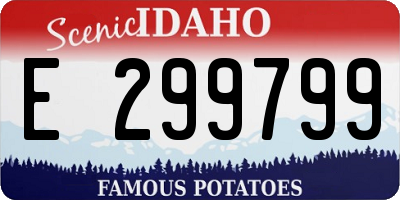 ID license plate E299799