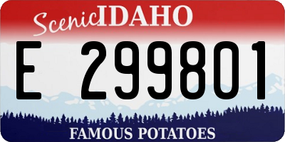 ID license plate E299801