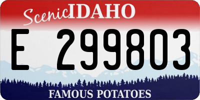 ID license plate E299803