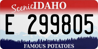 ID license plate E299805