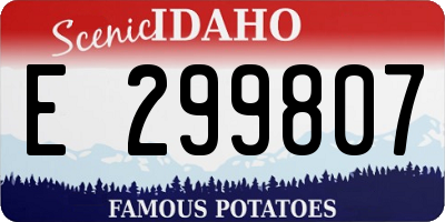 ID license plate E299807