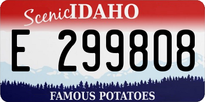 ID license plate E299808